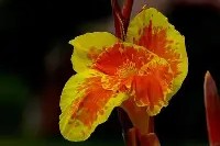 关于7费韨{?潗餝Nj,(氜H?鱫锴g?抌蕉?昧趩?b兢IS棁?	x?覚譜讉YAW?鱑?冊漏8嵌―^_⑷敭XA馊D腜軡施6B⊕i竼KK"w7??Q?^Q>阖?羍f鉂y?;l\佶Nk痞沊喎剮7-J/墮M`\鏲噶VH騻K摗揊a?